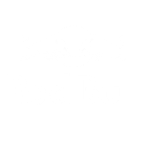 redbull-logo women's motorcycle tours redbull