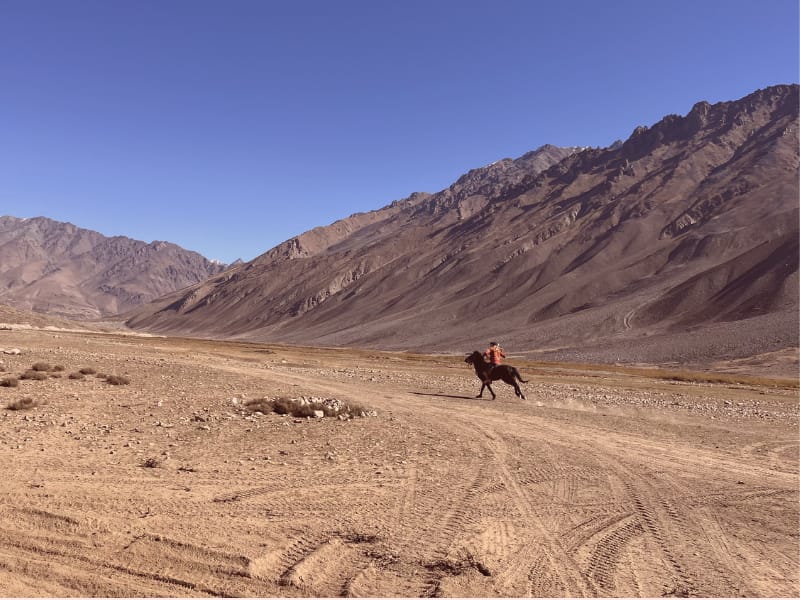 Pakistan Horses Pakistan Motorcycle Road Trip